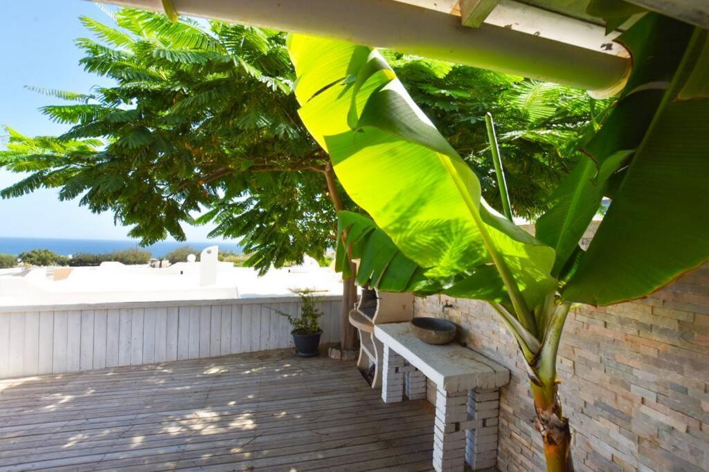 Book Jet - Costa Calma Blue Ocean Dream Terrace Apartment Exterior foto